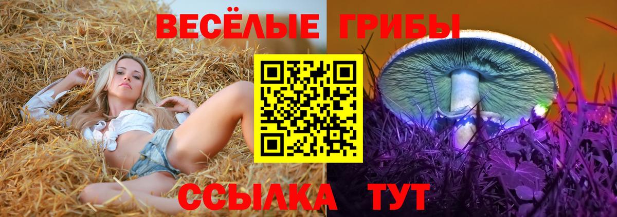 Галлюциногенные грибы мухоморы Хабаровск